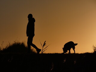 woman and dog silhouetted in sunset