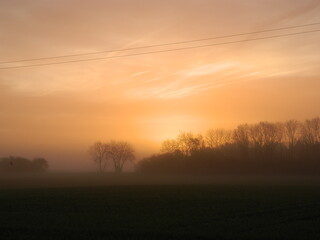 Fototapeta na wymiar misty morning sunrise in the forest
