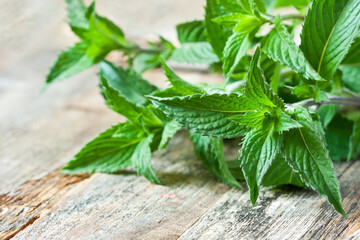 Green fresh  mint on wooden background