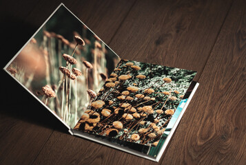 Álbum con fotos de unas flores en un campo