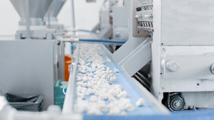 Fototapeta na wymiar Automatic Machine Production Process at a Dumpling Factory. Fresh Raw Pelmeni On the Conveyor Belt. Industrial Machinery Operating at a Food Factory.