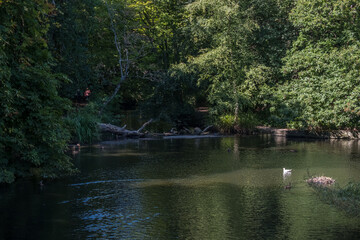 Views around Botanic Gardens, Southport, Merseyside, UK. August 2020.