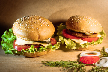 Two delicious fishburgers with vegetables. Homemade burgers are ready to eat