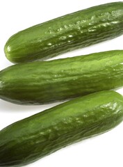 CUCUMBER cucumis sativus AGAINST WHITE BACKGROUND