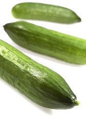 CUCUMBER cucumis sativus AGAINST WHITE BACKGROUND