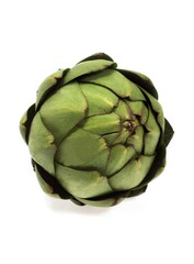 Fototapeta premium ARTICHOKE cynara scolymus AGAINST WHITE BACKGROUND