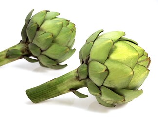 Obraz premium ARTICHOKE cynara scolymus AGAINST WHITE BACKGROUND