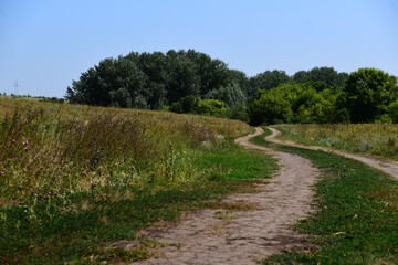 a dirt road along the fields