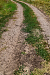 a dirt road along the fields