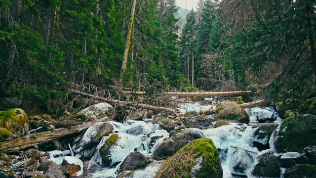 Beautiful mountain river with ice with waterfalls in a green forest in winter