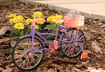 Fototapeta premium toy bike near a flower bed