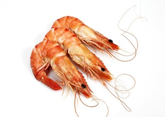 FRESH PRAWN AGAINST WHITE BACKGROUND