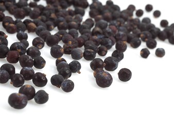 JUNIPER BERRIES juniperus communis AGAINST WHITE BACKGROUND
