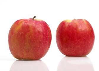 PINK LADY APPLE malus domestica AGAINST WHITE BACKGROUND