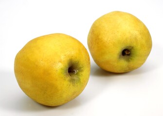 GOLDEN APPLE malus domestica AGAINST WHITE BACKGROUND