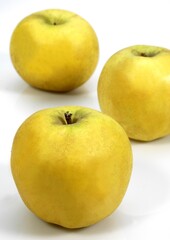 GOLDEN APPLE malus domestica AGAINST WHITE BACKGROUND