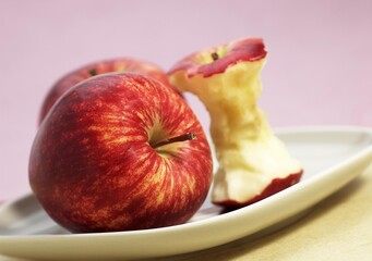 ROYAL GALA APPLE AND CORE malus domestica