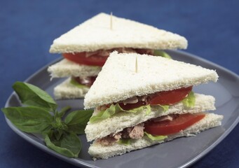 FAST FOOD, CLUB SANDWICH WITH SALAD AND TOMATO