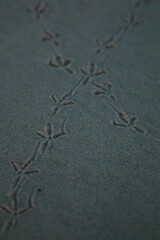 bird tracks in sand