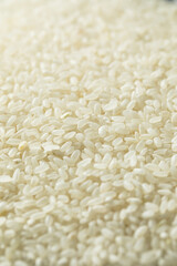 Raw Dry Organic Short Grain White Rice
