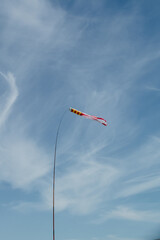 kite on blue sky
