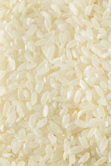 Raw Dry Organic Short Grain White Rice