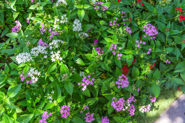 Green leaf in dark green on texture, abstract pattern nature background
