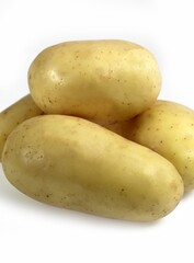 CHARLOTTE POTATO solanum tuberosum AGAINST WHITE BACKGROUND