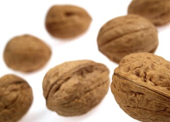 WALNUT juglans regia AGAINST WHITE BACKGROUND