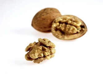 WALNUT juglans regia AGAINST WHITE BACKGROUND