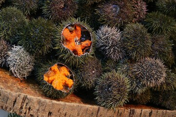 SEA URCHINS AT A FISH STALL