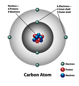 Molecular structure of a carbon atom. Electrons, protons, and neutrons are labeled. Nucleus and inner and outer shells.