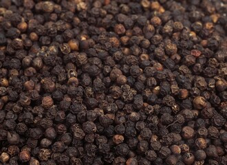BLACK PEPPERCORN