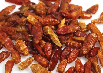 BIRD PEPPER AGAINST WHITE BACKGROUND