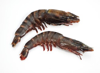 FRESH MEDITERRANEAN PRAWS OR GAMBAS AGAINST WHITE BACKGROUND
