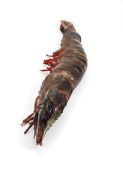 FRESH MEDITERRANEAN PRAWS OR GAMBAS AGAINST WHITE BACKGROUND