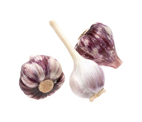 fresh garlic isolated on white background closeup