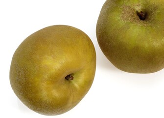 Canada Apples, malus domestica, Against White Background