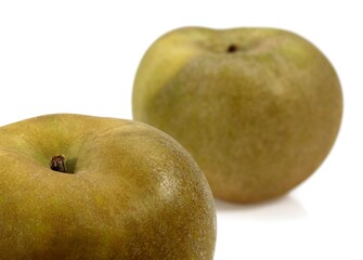 Canada Apples, malus domestica, Against White Background