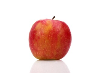 Pink Lady Apple, malus domestica, Against White Background