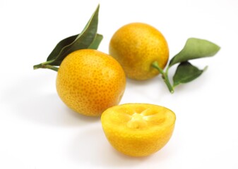 Kumquat, fortunella margarita, Fruit against White Background