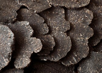 Obraz premium Slices of Perigord Truffe, tuber melanosporum