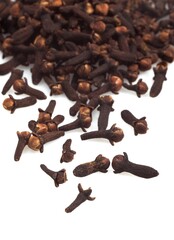 Obraz premium Clove, eugenia caryophyllata, Spice against White Background