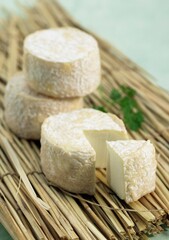 Fototapeta na wymiar French Cheese called Crottin de Chevre, a Goat Cheese
