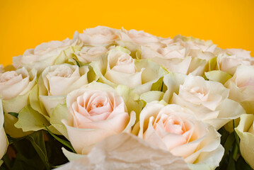 White roses bouquet on the yellow background