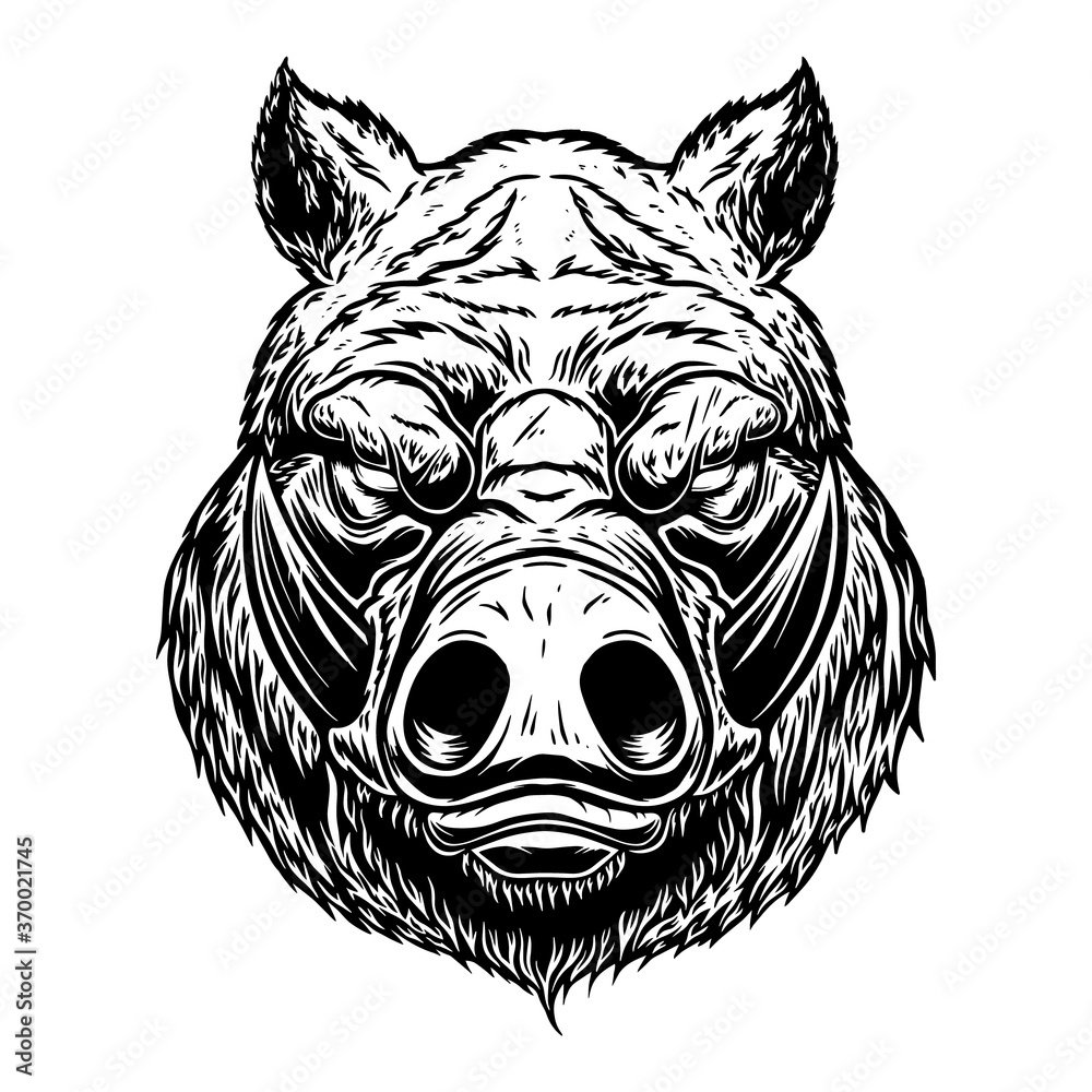 Wall mural illustration of head of wild angry boar in vintage monochrome style. design element for logo, emblem