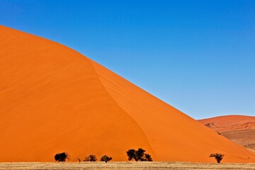 Fototapeta na wymiar Namib Desert, Namib-Naukluft Park, Sossusvlei Dunes, Dune 45, Namibia