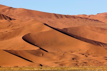 Namib Desert, Namib-Naukluft Park, Sossusvlei Dunes, Namibia