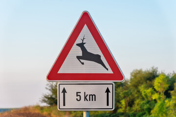 adventure, animal, animal crossing sign, animal wildlife, animals in the wild, car, copy space, country road, crossing, crossing sign, danger, deer, driving, eco tourism, ecosystem, environment, envir