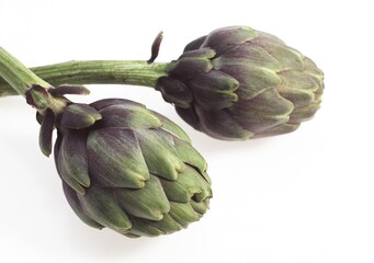 Obraz premium Artichoke, cynara scolymus, Vegetable against White Background